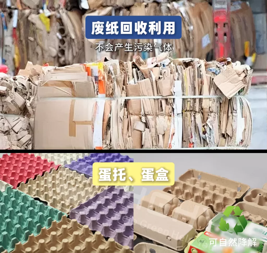 2025 年拼搏在线开户迎爆发期!政策 + 市场双轮驱动,绿色包装成产业新引擎插图4 2025 年拼搏在线开户迎爆发期!政策 + 市场双轮驱动,绿色包装成产业新引擎插图4