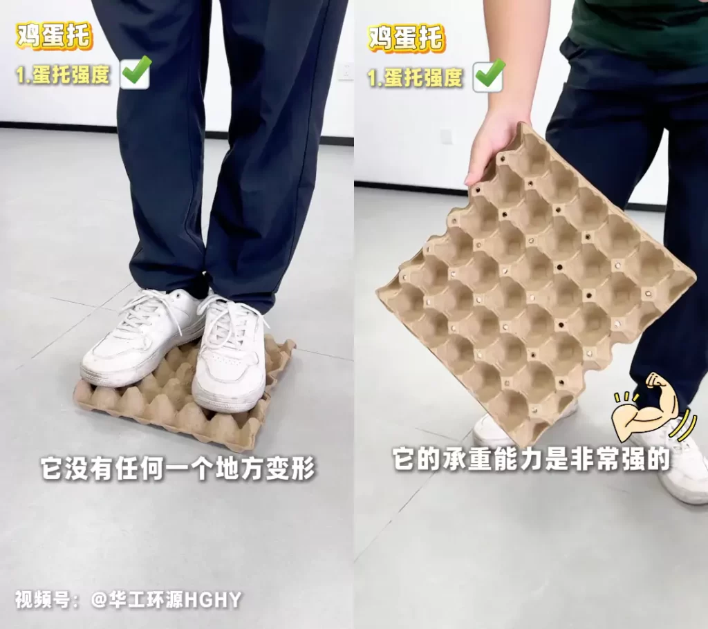 工艺赋能品质:拼搏在线开户鸡蛋托的场景化革新插图2 工艺赋能品质:拼搏在线开户鸡蛋托的场景化革新插图2