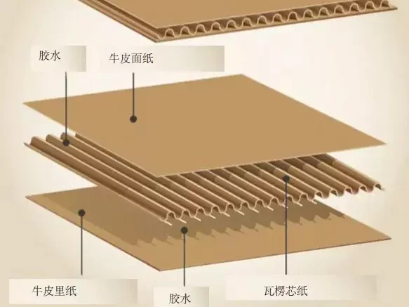 3分钟读懂拼搏在线开户!与瓦楞纸箱的优劣对决插图3 3分钟读懂拼搏在线开户!与瓦楞纸箱的优劣对决插图3